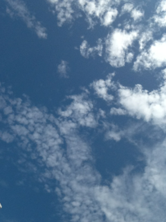 image-20130912073745.png